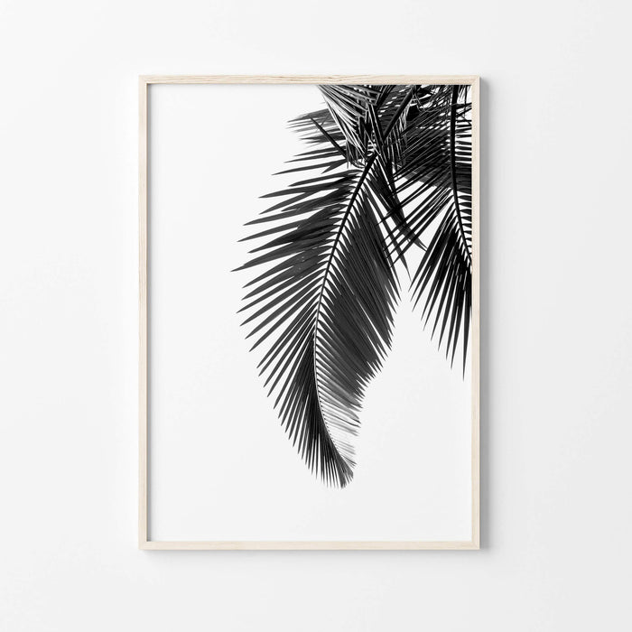 Black and white Palm Leaf Wall Art Print
