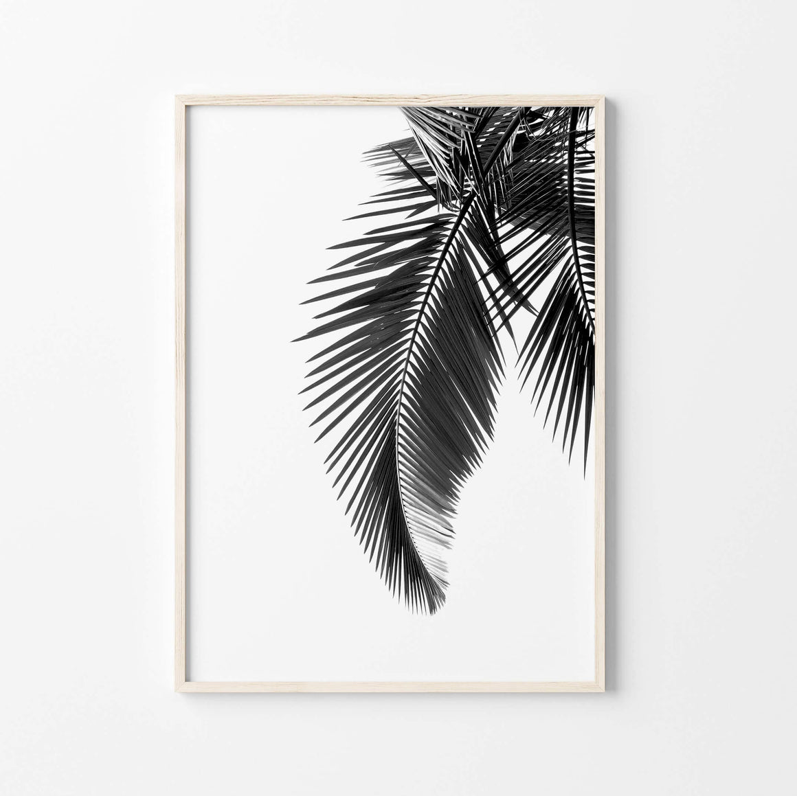 Black and white Palm Leaf Wall Art Print – Artworld