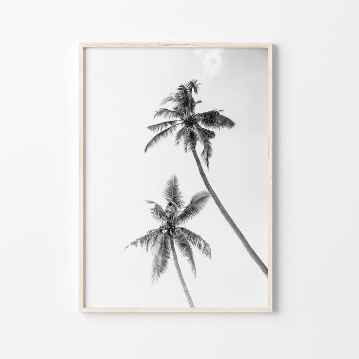 Black and White Palm Print