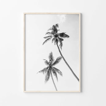 Artworld Wall Art Black and White Palm Print