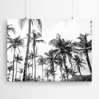 Artworld Wall Art Black and White Photography Print