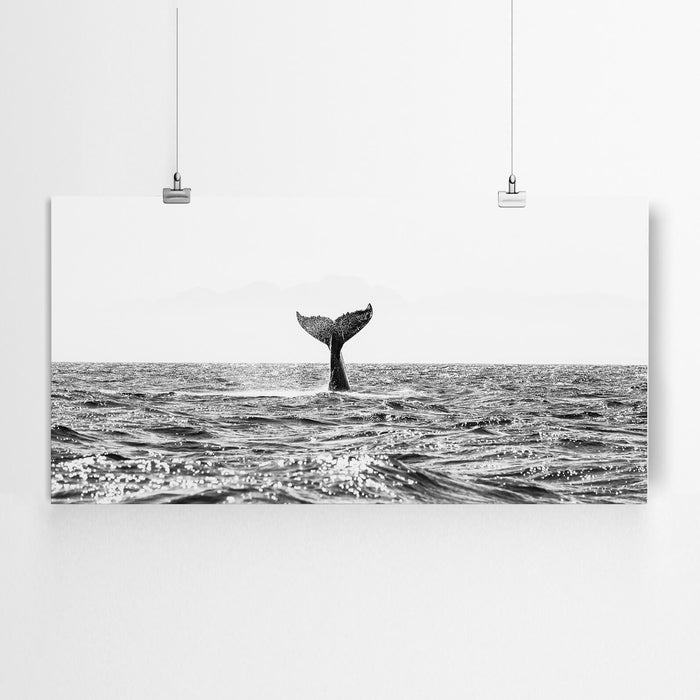 Black and White Whale Print