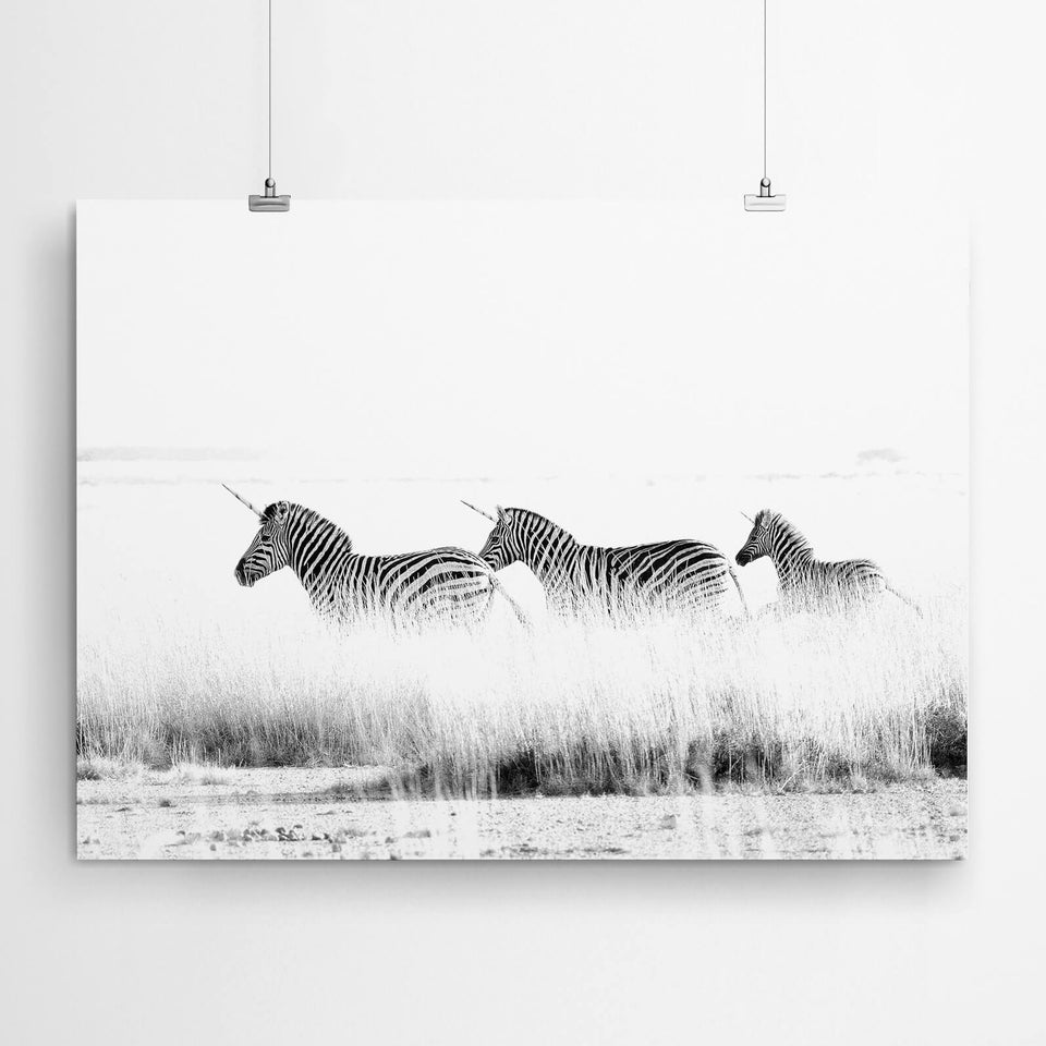 Black & White Zebra Unicorns Wall Art Artworld