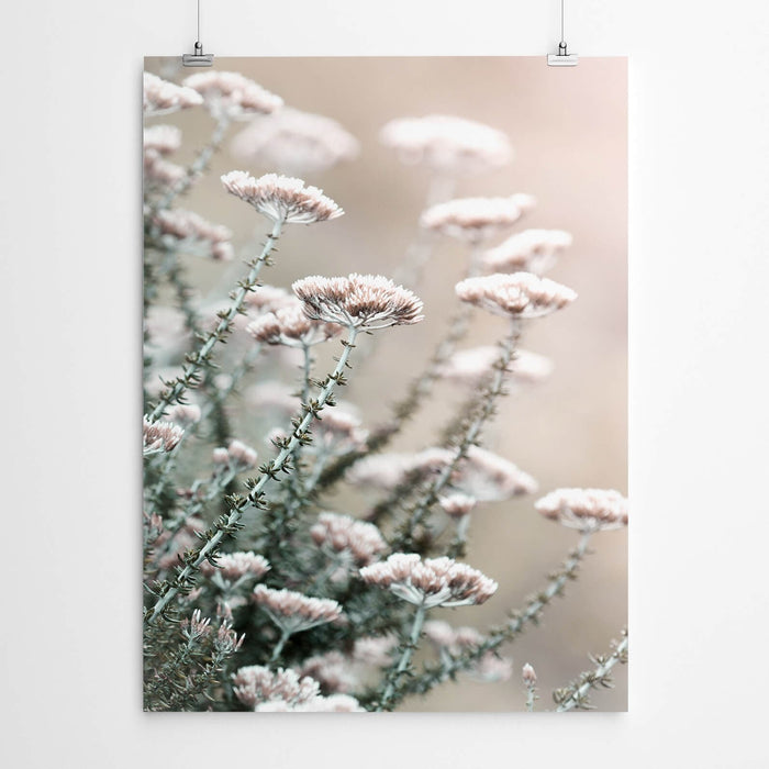 Blombos Fynbos Wall Art Prints