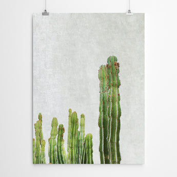 Artworld Wall Art Botanical Cactus Print 95