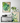 Botanical Canvas Art