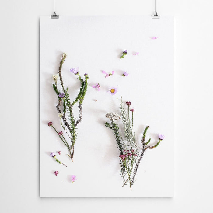 Botanical Floral Fynbos Art