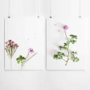 Botanical Fynbos Art Set