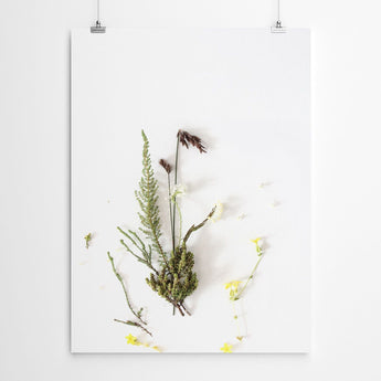 Botanical Fynbos Plant Print