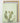 Artworld Wall Art Botanical Poster Print 20