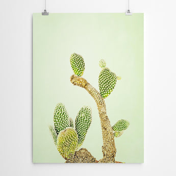 Artworld Wall Art Botanical Print 202