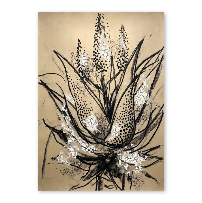 Botanical Seed Pod Study