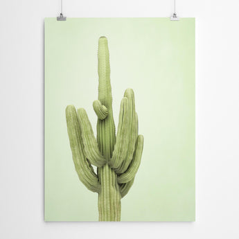 Botanical Wall Art Print