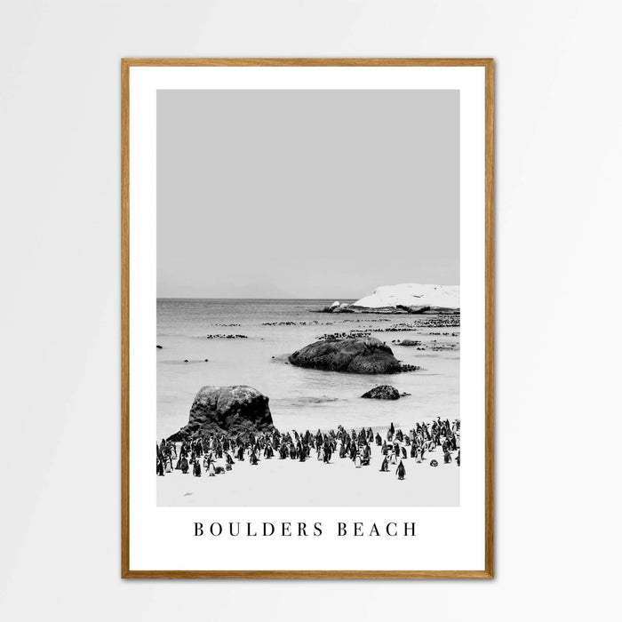 Boulders Beach Canvas Wall Art