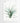 Artworld Wall Art Bromelia Vintage Botanical Print 204