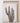 Artworld Wall Art Brown Cactus Canvas 206