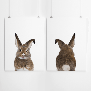 Bunny Back And Front Print Set