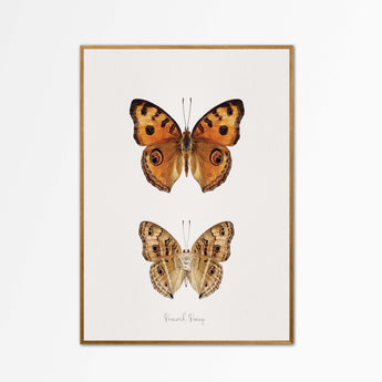 Artworld Wall Art Butterfly Wall Art