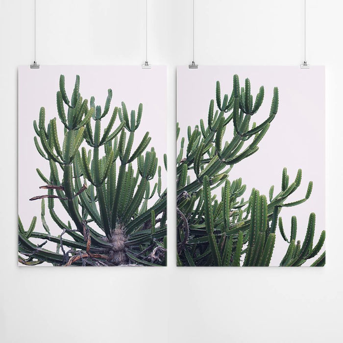 Cactus Art Set