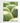 Artworld Wall Art Cactus Botanical Photography Art 222