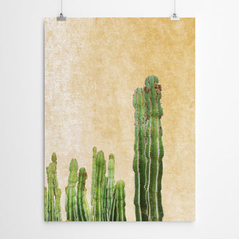 Artworld Wall Art Cactus Botanical Wall Art Print 223