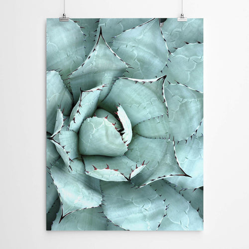 Cactus Canvas Art Print