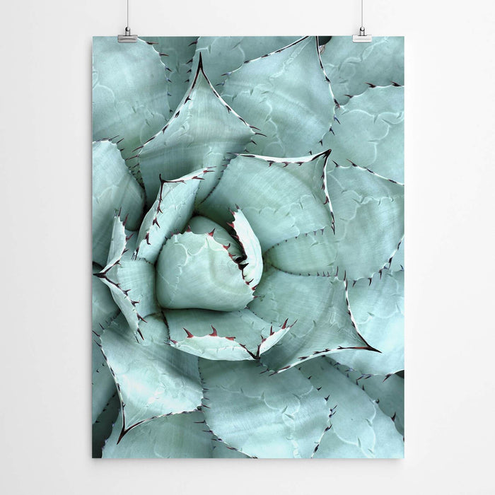 Cactus Canvas Art Print