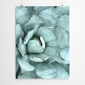 Artworld Wall Art Cactus Canvas Art Print 224
