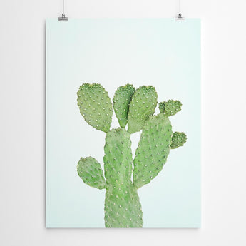 Artworld Wall Art Cactus Decor 227