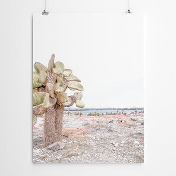 Artworld Wall Art Cactus Landscape Canvas Prints 229