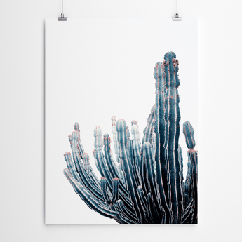 Artworld Wall Art Cactus Poster 230