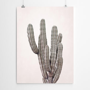 Artworld Wall Art Cactus Print 23