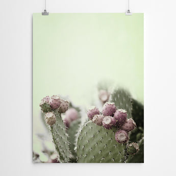 Artworld Wall Art Cactus Wall Art Print 233