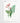 Artworld Wall Art Canna Flower Vintage Botanical Print 234