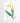 Artworld Wall Art Canna Vintage Botanical Print 235