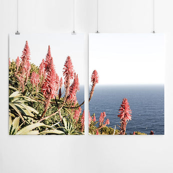 Cape Point Photography Print