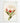 Artworld Wall Art Cattleya Vintage Orchid Print 244