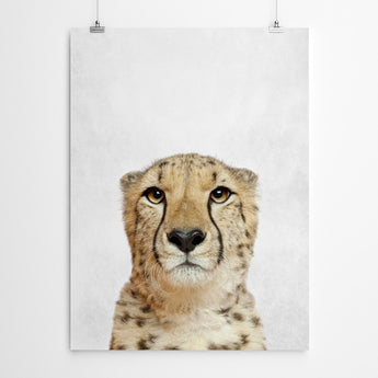 Cheetah Art