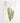 Artworld Wall Art Christmas Decorations Cactus Print 254