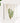 Artworld Wall Art Christmas Decorations Cactus Print 254