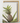 Artworld Wall Art Coastal Wall Art 273