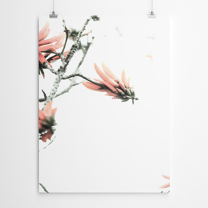 Coral Tree Art Print