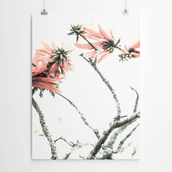 Coral Tree Wall Art Print