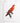 Artworld Wall Art Crimson Parrot Vintage Bird Print 286