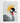 Artworld Wall Art Crowned Crane Bird Print 287