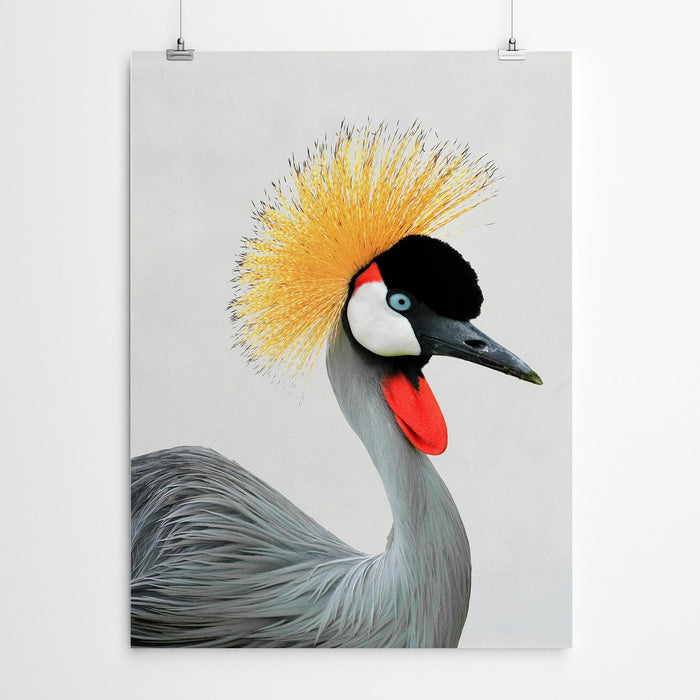 Crowned Crane Bird Print