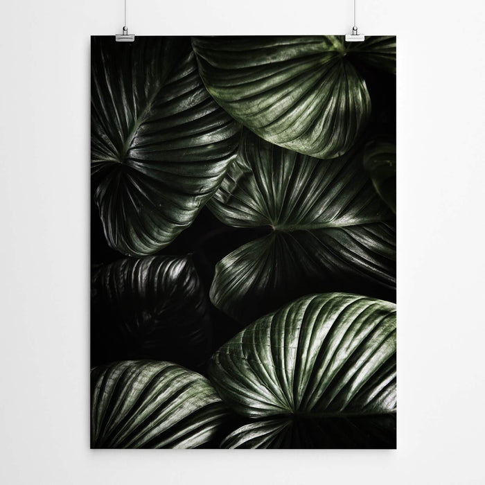 Dark Green Tropical Leaves Wall Art