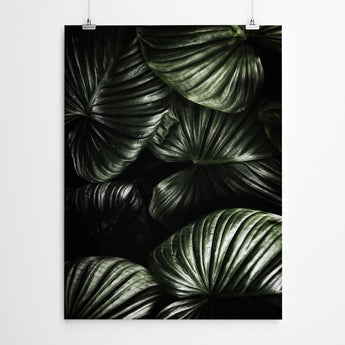 Artworld Wall Art Dark Green Tropical Leaves Wall Art 29