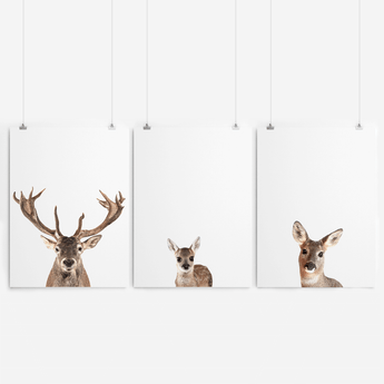 Artworld Wall Art Deer Family Art Print Set 293