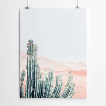 Artworld Wall Art Desert Cactus Art Prints 296
